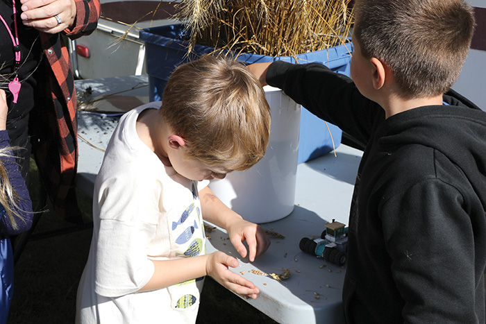 A student eating grain from one of the wheat crops.<br />